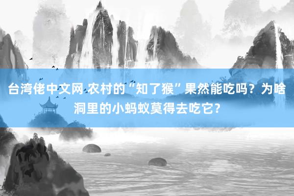 台湾佬中文网 农村的“知了猴”果然能吃吗？为啥洞里的小蚂蚁莫得去吃它？