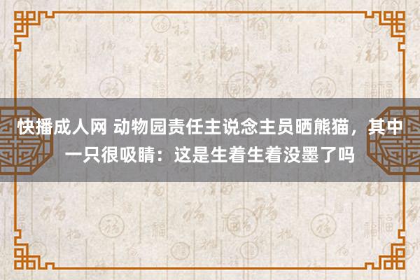 快播成人网 动物园责任主说念主员晒熊猫，其中一只很吸睛：这是生着生着没墨了吗