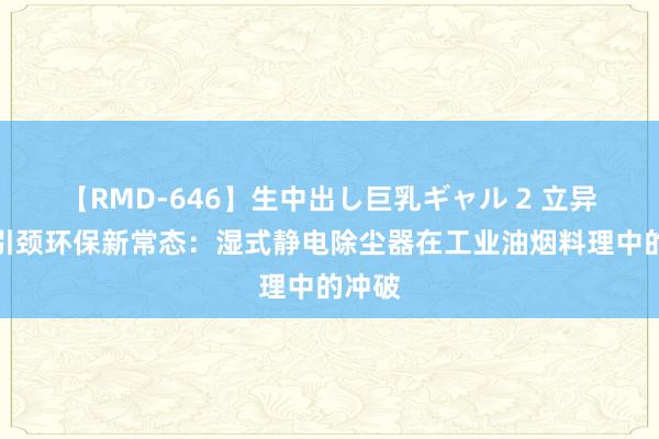 【RMD-646】生中出し巨乳ギャル 2 立异时刻引颈环保新常态：湿式静电除尘器在工业油烟料理中的冲破