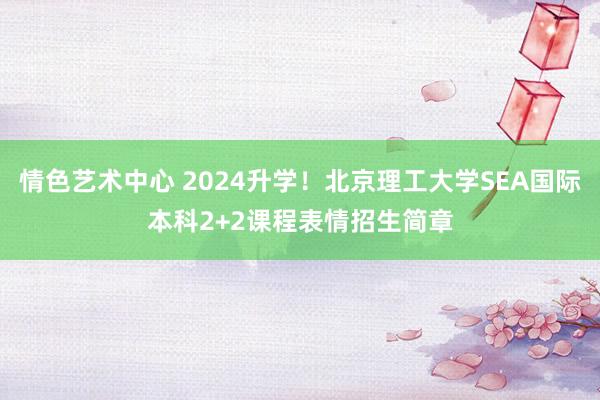 情色艺术中心 2024升学！北京理工大学SEA国际本科2+2课程表情招生简章