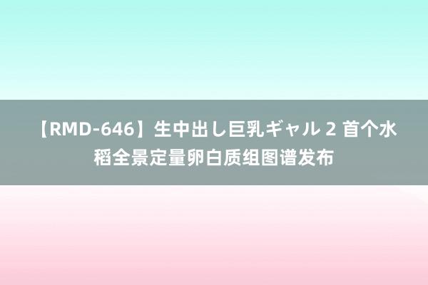 【RMD-646】生中出し巨乳ギャル 2 首个水稻全景定量卵白质组图谱发布