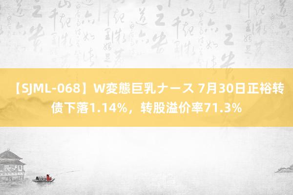 【SJML-068】W変態巨乳ナース 7月30日正裕转债下落1.14%，转股溢价率71.3%