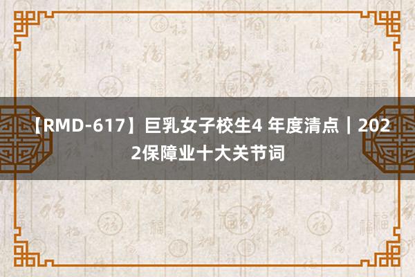 【RMD-617】巨乳女子校生4 年度清点｜2022保障业十大关节词