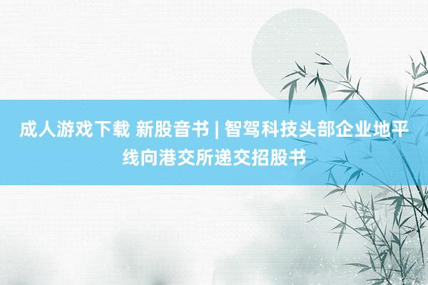 成人游戏下载 新股音书 | 智驾科技头部企业地平线向港交所递交招股书