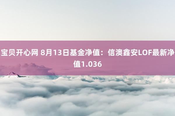 宝贝开心网 8月13日基金净值：信澳鑫安LOF最新净值1.036