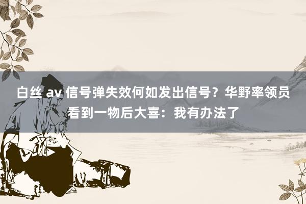 白丝 av 信号弹失效何如发出信号？华野率领员看到一物后大喜：我有办法了