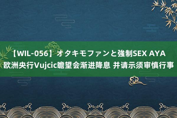 【WIL-056】オタキモファンと強制SEX AYA 欧洲央行Vujcic瞻望会渐进降息 并请示须审慎行事