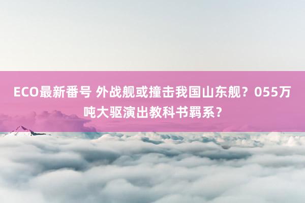 ECO最新番号 外战舰或撞击我国山东舰？055万吨大驱演出教科书羁系？