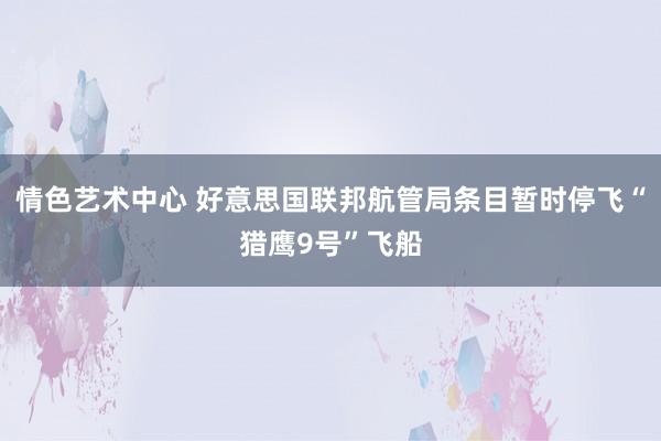 情色艺术中心 好意思国联邦航管局条目暂时停飞“猎鹰9号”飞船