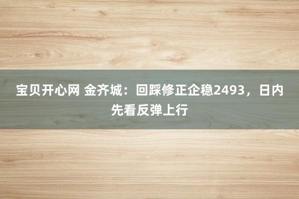 宝贝开心网 金齐城：回踩修正企稳2493，日内先看反弹上行