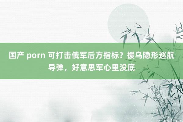 国产 porn 可打击俄军后方指标？援乌隐形巡航导弹，好意思军心里没底