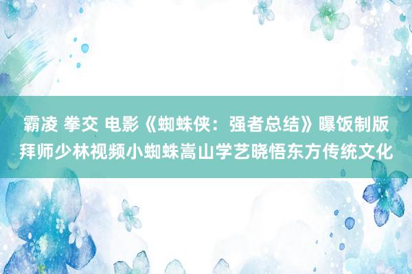 霸凌 拳交 电影《蜘蛛侠：强者总结》曝饭制版拜师少林视频小蜘蛛嵩山学艺晓悟东方传统文化